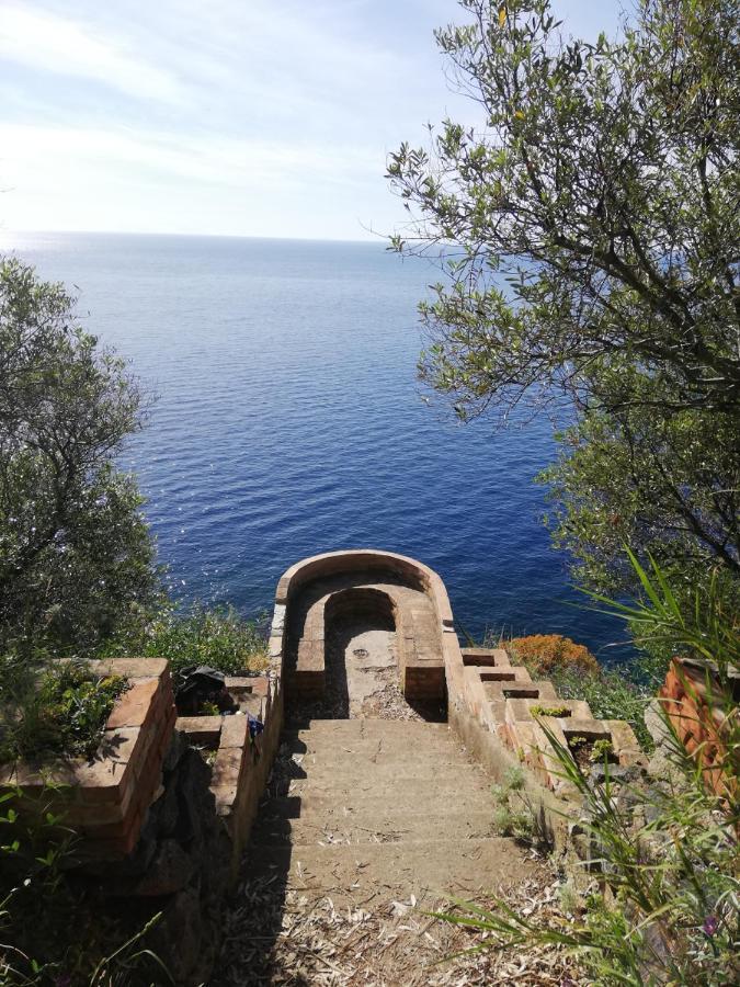 B&B Centro Storico 900 Palmi Exterior photo